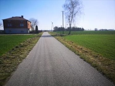 Działka 6242 m² w Witoldowie - polecam działka Witoldów