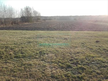 działka na sprzedaż 3000m2 działka Pruszków