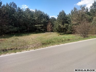 Atrakcyjna działka 9 870 m² w Skrajnicy z lasem i mediami działka Skrajnica