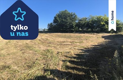 Działka budowlana 1514 m² z drzewami i pełnym uzbrojeniem. działka Cholerzyn