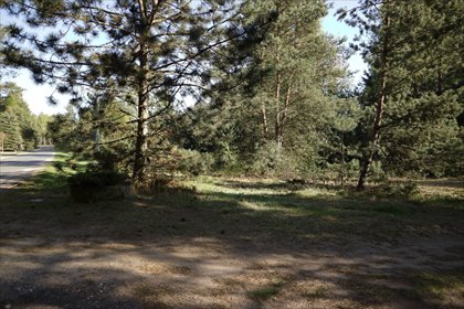 Działka 3907 m² z lasem - cisza i dobry dojazd działka Nekielka, Kwiatowa Droga