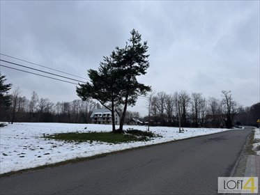 Działka 1,38 ha z warunkami zabudowy i lasem – idealna pod dom lub stadninę działka Szarwark