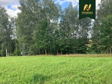 działka na sprzedaż 5500m2 działka Spręcowo