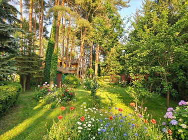Działka 1186 m² z domkiem letniskowym w Wolicy działka Wolica