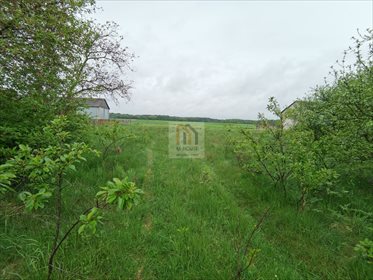 Dom na sprzedaż Stara Jedlanka 100m2 Foto 6