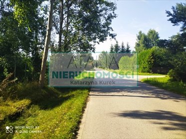 Działka 6000 m² z mediami, las i spokój w Zalesiu działka Zalesie