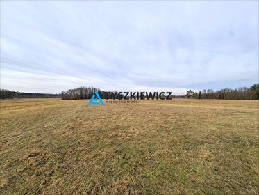 działka na sprzedaż 1015m2 działka Śluza