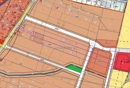 Działka 30 209 m² z mediami, planem zagospodarowania (Antoninów) działka Antoninów, Złotych Piasków