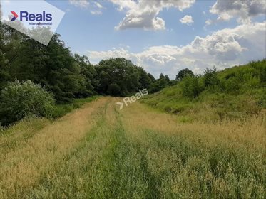 działka na sprzedaż 1000m2 działka Rogóźno-Zamek