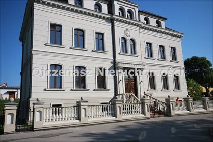 Polecam odrestaurowany pałac 720 m² z antresolami i ogrodem lokal użytkowy Szubin
