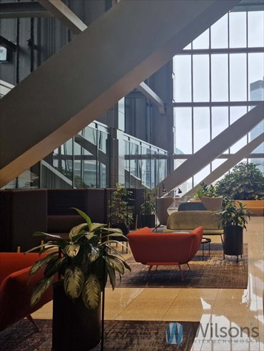 lokal użytkowy na wynajem 50m2 lokal użytkowy Warszawa, Śródmieście