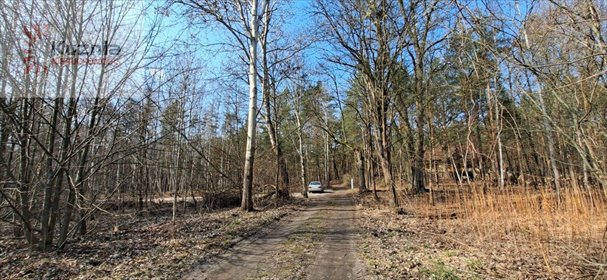 Działka leśno-rolna 4135 m2 z zabudową rezydencjonalną działka Warszawa, Wesoła, Torfowa