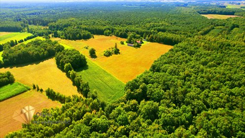 działka na sprzedaż 1000m2 działka Kaznów-Kolonia