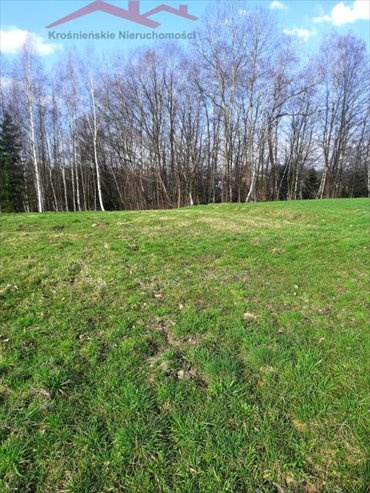 Do sprzedania działka 21 arów z dojazdem asfaltowym w Korczynie działka Korczyna