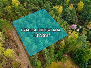 Tu las będzie Twoim sąsiadem|Wizualizacja działka Rosanów, Poprzeczna