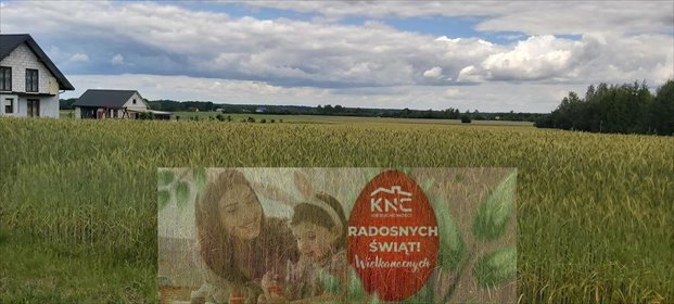 działka na sprzedaż 3000m2 działka Starościn