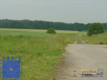 działka na sprzedaż 15000m2 działka Gliwice