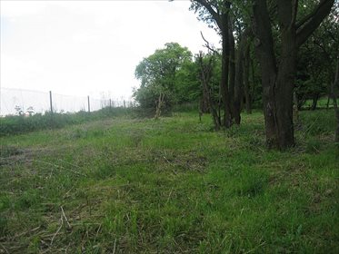 działka na sprzedaż 800m2 działka Kraków, Nowa Huta, Kościelniki, Władysława Łozińskiego