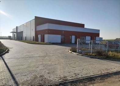 magazyn na sprzedaż 1453m2 magazyn Sękowo, Przemysłowa