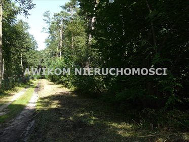 Polecam działkę 4034 m² w Olszance z cennym starodrzewem działka Olszanka
