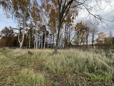 działka na sprzedaż 1566m2 działka Niedźwiedź