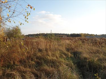 Działka budowlana na sprzedaż Robakowo, Kórnik 3 340m2 Foto 4