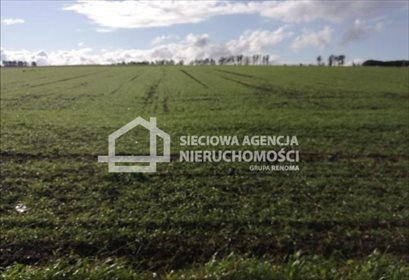 działka na sprzedaż 8200m2 działka Białogarda