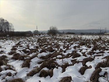 działka na sprzedaż 740m2 działka Bolechowice, Zielona