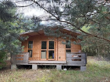 działka na sprzedaż 1515m2 działka Wola Pniewska