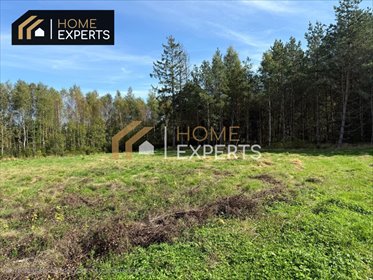 działka na sprzedaż 1013m2 działka Kowalewo, Smolna