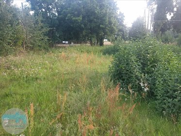 Działka budowlana na sprzedaż Biele 6 900m2 Foto 2