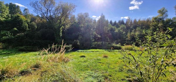 Dom na sprzedaż Lwówek Śląski 350m2 Foto 6