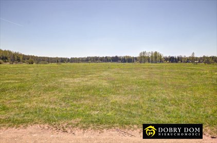 Działka 6700 m² w Gruszkach - idealna na wymarzoną oazę polecam działka Gruszki