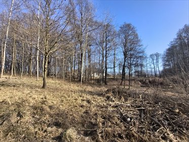 działka na sprzedaż 3300m2 działka Bielsko-Biała, Hałcnów, Deszczowa