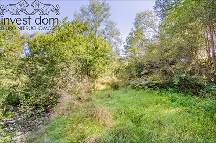 działka na sprzedaż 2300m2 działka Czarna