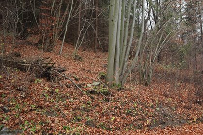 działka na sprzedaż 12080m2 działka Wisła, Bukowa