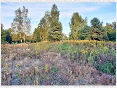 działka na sprzedaż 1600m2 działka Szczęsne