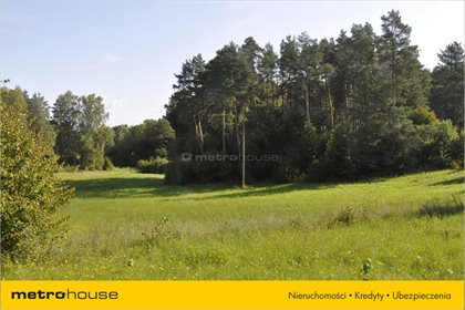 Działka budowlana na sprzedaż Kajny, Jonkowo 5 200m2 Foto 4