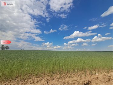 Działka budowlana 1108 m² z mediami, blisko jezior działka Pinczyn, Ciska