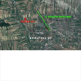 Działka budowlana na sprzedaż Prandocin-Iły 5 000m2 Foto 6