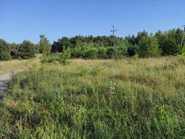 działka na sprzedaż 3500m2 działka Cieksyn