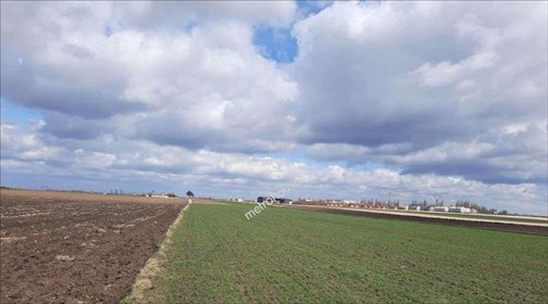 Działka rolna na sprzedaż Nowa Wola 35 800m2 Foto 2