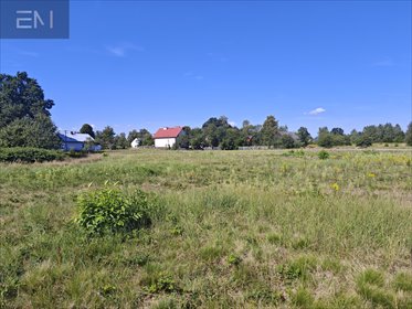 działka na sprzedaż 6800m2 działka Wilcza Wola