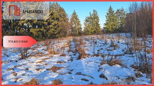 działka na sprzedaż 4862m2 działka Wałcz