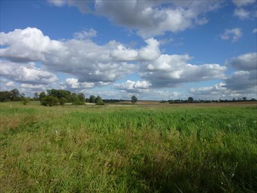 działka na sprzedaż 10637m2 działka Czarnowo