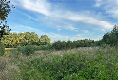 Działka budowlana 1527 m² z mediami i widokiem - polecam! działka Chmielno