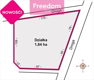Działka inwestycyjna na sprzedaż Duńkowiczki 17 670m2 Foto 5