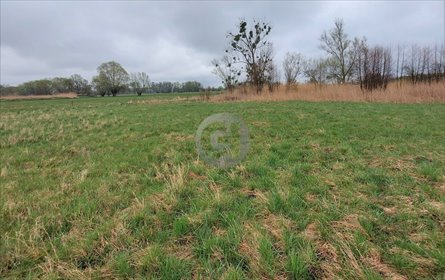 Działka 1126 m² z mediami i warunkami zabudowy - polecam! działka Prądocin