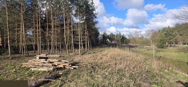 Działka budowlana na sprzedaż Zawiercie, Winna 1 007m2 Foto 7