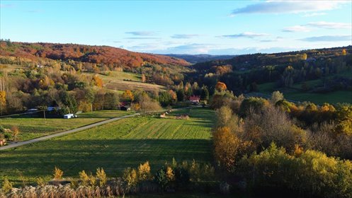 działka na sprzedaż 2900m2 działka Husów